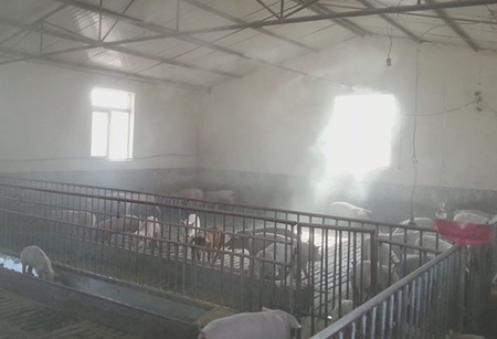 长治猪场养殖基地喷雾消毒除臭案例